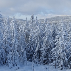 Fichtelgebirge Test